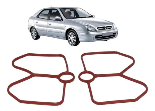 Junta Coletor Admissão Citroen E Peugeot ( Anel )