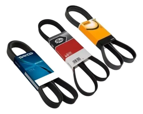 Correia Poly V Alpha Romeo 145/146 Audi Brava Marea 6pk 1855