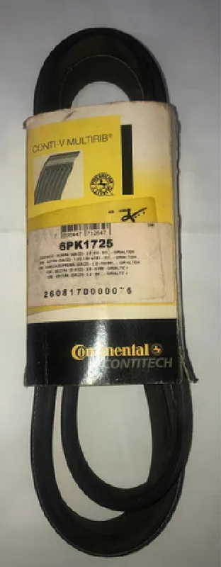 Correia Poly V 6pk 1725 Astra 2.0 8v Vectra 6pk 1725