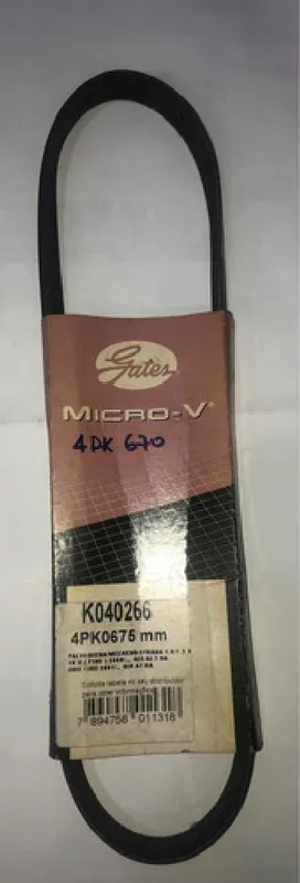 Correia Poly V 4pk 670 Palio Siena Strada