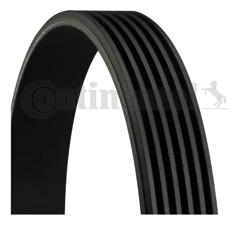 Correia Poly V Auxiliar 6PK1560 Fiat